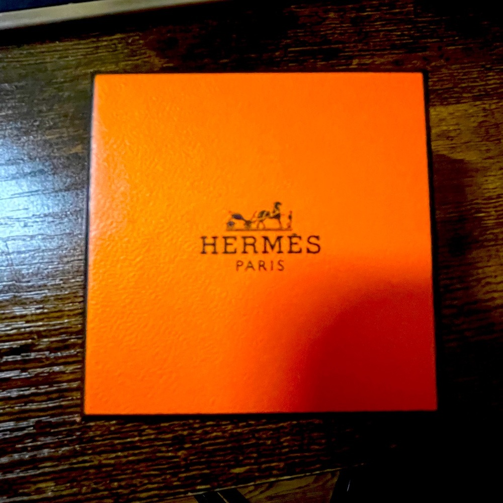 Hermès cubed earrings
